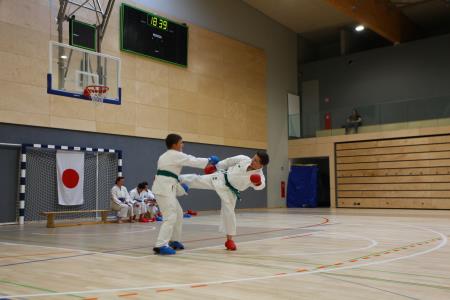 Karate klub Mirna Pec (4)